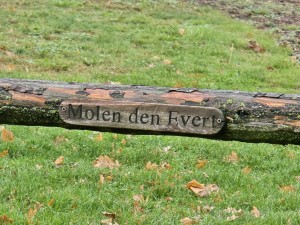 
                            <b>Houten bordje met opschrift ‘Molen den Evert’.</b><br>
                                                        <b>ISO:</b> 160 | <b>Sluitertijd:</b> 1/100 | <b>Diafragma:</b> f/3.4 | <b>Datum:</b> 2025-11-15

                        