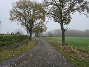 
                            <b>Kronkelende landweg tussen bomen door het veld.</b><br>
                                                        <b>ISO:</b> 40 | <b>Sluitertijd:</b> 1/180 | <b>Diafragma:</b> f/1.7 | <b>Datum:</b> 2025-11-15

                        