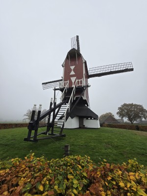 
                            <b>Historische houten korenmolen met wieken en trap.</b><br>
                                                        <b>ISO:</b> 50 | <b>Sluitertijd:</b> 1/207 | <b>Diafragma:</b> f/2.2 | <b>Datum:</b> 2025-11-15

                        