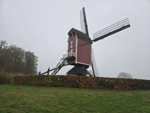 
                            <b>Rode houten windmolen met wieken en trap op stenen sokkel.</b><br>
                                                        <b>ISO:</b> 32 | <b>Sluitertijd:</b> 1/180 | <b>Diafragma:</b> f/1.7 | <b>Datum:</b> 2025-11-15

                        