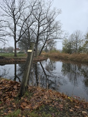 
                            <b>Scheve houten paal met bordje en nestkastje.</b><br>
                                                        <b>ISO:</b> 125 | <b>Sluitertijd:</b> 1/180 | <b>Diafragma:</b> f/1.7 | <b>Datum:</b> 2025-11-16

                        