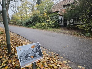 
                            <b>Karakteristiek woonhuis met luiken en rood pannendak.</b><br>
                                                        <b>ISO:</b> 160 | <b>Sluitertijd:</b> 1/100 | <b>Diafragma:</b> f/1.7 | <b>Datum:</b> 2025-11-16

                        