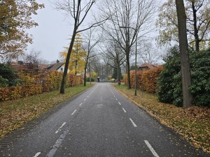 
                            <b>Rustige asfaltweg met middenstreep, omzoomd door bomen.</b><br>
                                                        <b>ISO:</b> 125 | <b>Sluitertijd:</b> 1/180 | <b>Diafragma:</b> f/1.7 | <b>Datum:</b> 2025-11-16

                        