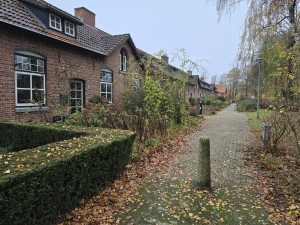 
                            <b>Rij bakstenen huizen langs smal klinkerpad met hagen.</b><br>
                                                        <b>ISO:</b> 125 | <b>Sluitertijd:</b> 1/180 | <b>Diafragma:</b> f/1.7 | <b>Datum:</b> 2025-11-16

                        