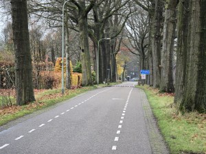 
                            <b>Rechte landweg geflankeerd door hoge bomen.</b><br>
                                                        <b>ISO:</b> 250 | <b>Sluitertijd:</b> 1/50 | <b>Diafragma:</b> f/3.4 | <b>Datum:</b> 2025-11-16

                        