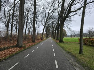 
                            <b>Rechte weg met bomenrijen en onderbroken middenstreep.</b><br>
                                                        <b>ISO:</b> 100 | <b>Sluitertijd:</b> 1/180 | <b>Diafragma:</b> f/1.7 | <b>Datum:</b> 2025-11-16

                        