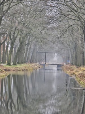 
                            <b>Smalle ophaalbrug over een rustig kanaal met reflecties.</b><br>
                                                        <b>ISO:</b> 250 | <b>Sluitertijd:</b> 1/50 | <b>Diafragma:</b> f/3.4 | <b>Datum:</b> 2025-11-16

                        