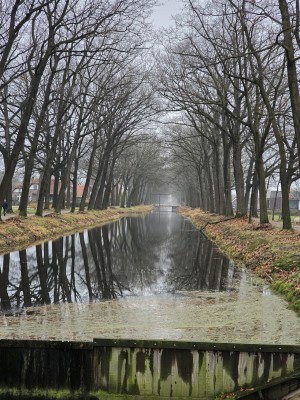 
                            <b>Kanaal met bomenrij en spiegelende waterreflectie.</b><br>
                                                        <b>ISO:</b> 64 | <b>Sluitertijd:</b> 1/50 | <b>Diafragma:</b> f/2.4 | <b>Datum:</b> 2025-11-16

                        