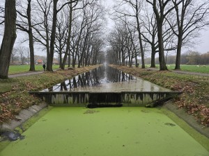 
                            <b>Stuw met lang, spiegelend kanaal en eendenkroos op de voorgrond.</b><br>
                                                        <b>ISO:</b> 125 | <b>Sluitertijd:</b> 1/180 | <b>Diafragma:</b> f/1.7 | <b>Datum:</b> 2025-11-16

                        