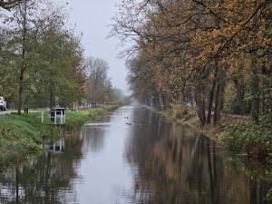 
                            <b>Rechte watergang met eenden die rustig zwemmen.</b><br>
                                                        <b>ISO:</b> 160 | <b>Sluitertijd:</b> 1/100 | <b>Diafragma:</b> f/3.4 | <b>Datum:</b> 2025-11-16

                        