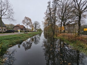 
                            <b>Stil kanaal met spiegelende bomenrij langs beide oevers.</b><br>
                                                        <b>ISO:</b> 50 | <b>Sluitertijd:</b> 1/120 | <b>Diafragma:</b> f/2.2 | <b>Datum:</b> 2025-11-16

                        
