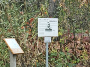 
                            <b>Informatiebord over Griendtsveen op paal langs pad.</b><br>
                                                        <b>ISO:</b> 100 | <b>Sluitertijd:</b> 1/33 | <b>Diafragma:</b> f/3.4 | <b>Datum:</b> 2025-11-16

                        