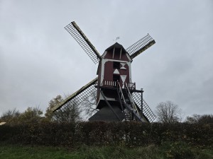 
                            <b>Rode houten windmolen met vier wieken en trap naar ingang.</b><br>
                                                        <b>ISO:</b> 125 | <b>Sluitertijd:</b> 1/180 | <b>Diafragma:</b> f/1.7 | <b>Datum:</b> 2025-11-19

                        