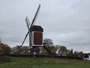 
                            <b>Traditionele houten windmolen met grote wieken en trap.</b><br>
                                                        <b>ISO:</b> 40 | <b>Sluitertijd:</b> 1/50 | <b>Diafragma:</b> f/1.7 | <b>Datum:</b> 2025-11-19

                        