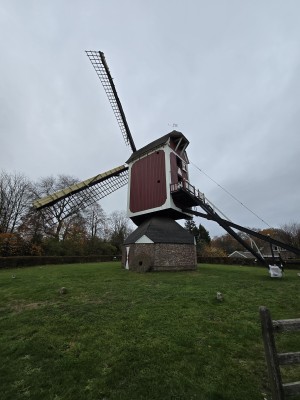 
                            <b>Rode houten standerdmolen met wieken, zijaanzicht.</b><br>
                                                        <b>ISO:</b> 64 | <b>Sluitertijd:</b> 1/50 | <b>Diafragma:</b> f/2.2 | <b>Datum:</b> 2025-11-19

                        