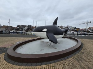 
                            <b>Grote orka-beeldhouwwerk op een ronde sokkel.</b><br>
                                                        <b>ISO:</b> 50 | <b>Sluitertijd:</b> 812017/250000000 | <b>Diafragma:</b> f/2.2 | <b>Datum:</b> 2025-12-07

                        