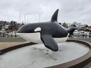 
                            <b>Grote orka-beeldhouwwerk staat op een sokkel.</b><br>
                                                        <b>ISO:</b> 32 | <b>Sluitertijd:</b> 5567099/1000000000 | <b>Diafragma:</b> f/1.7 | <b>Datum:</b> 2025-12-07

                        