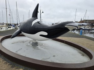 
                            <b>Grote orka-beeldhouwwerk, zwart-wit geschilderd, ligt op een sokkel.</b><br>
                                                        <b>ISO:</b> 25 | <b>Sluitertijd:</b> 5567099/1000000000 | <b>Diafragma:</b> f/1.7 | <b>Datum:</b> 2025-12-07

                        