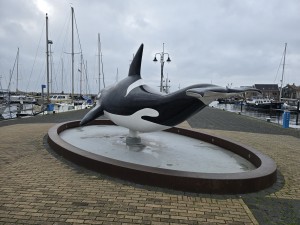 
                            <b>Grote orka-beeldhouwwerk op sokkel, zwart-wit, met omhooggeheven staart.</b><br>
                                                        <b>ISO:</b> 20 | <b>Sluitertijd:</b> 5567099/1000000000 | <b>Diafragma:</b> f/1.7 | <b>Datum:</b> 2025-12-07

                        