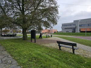 
                            <b>Grote boom naast bankjes in het park.</b><br>
                                                        <b>ISO:</b> 16 | <b>Sluitertijd:</b> 5567099/1000000000 | <b>Diafragma:</b> f/1.7 | <b>Datum:</b> 2025-12-07

                        