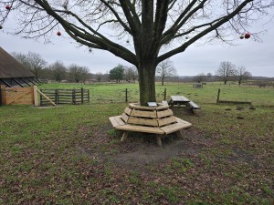 
                            <b>Grote boom met houten zitbank rondom de stam.</b><br>
                                                        <b>ISO:</b> 32 | <b>Sluitertijd:</b> 5567099/1000000000 | <b>Diafragma:</b> f/1.7 | <b>Datum:</b> 2025-12-07

                        