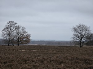 
                            <b>Drie kale bomen staan verspreid in het landschap.</b><br>
                                                        <b>ISO:</b> 32 | <b>Sluitertijd:</b> 693229/100000000 | <b>Diafragma:</b> f/3.4 | <b>Datum:</b> 2025-12-07

                        