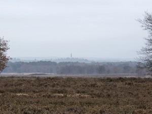 
                            <b>Uitgestrekt heideveld met verre bomenrij en zendmast.</b><br>
                                                        <b>ISO:</b> 32 | <b>Sluitertijd:</b> 7580213/1000000000 | <b>Diafragma:</b> f/3.4 | <b>Datum:</b> 2025-12-07

                        