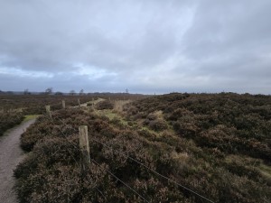 
                            <b>Wandelpad langs heide met houten palen en draad.</b><br>
                                                        <b>ISO:</b> 50 | <b>Sluitertijd:</b> 1915689/1000000000 | <b>Diafragma:</b> f/2.2 | <b>Datum:</b> 2025-12-07

                        
