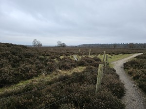 
                            <b>Wandelpad langs houten paaltjes door heideveld.</b><br>
                                                        <b>ISO:</b> 16 | <b>Sluitertijd:</b> 5567099/1000000000 | <b>Diafragma:</b> f/1.7 | <b>Datum:</b> 2025-12-07

                        
