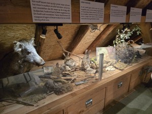 
                            <b>Opgezette kop van wild zwijn in museumvitrine.</b><br>
                                                        <b>ISO:</b> 1250 | <b>Sluitertijd:</b> 2497831/250000000 | <b>Diafragma:</b> f/1.7 | <b>Datum:</b> 2025-12-07

                        