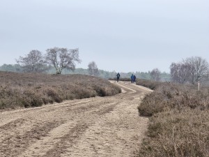 
                            <b>Twee wandelaars lopen over een zandpad.</b><br>
                                                        <b>ISO:</b> 32 | <b>Sluitertijd:</b> 9803739/1000000000 | <b>Diafragma:</b> f/3.4 | <b>Datum:</b> 2025-12-07

                        