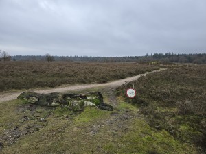 
                            <b>Verkeersbord verbiedt fietsen op het zandpad.</b><br>
                                                        <b>ISO:</b> 12 | <b>Sluitertijd:</b> 5567099/1000000000 | <b>Diafragma:</b> f/1.7 | <b>Datum:</b> 2025-12-07

                        