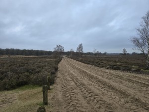 
                            <b>Zandpad met bandensporen slingert door open heidelandschap.</b><br>
                                                        <b>ISO:</b> 12 | <b>Sluitertijd:</b> 1087833/250000000 | <b>Diafragma:</b> f/1.7 | <b>Datum:</b> 2025-12-07

                        