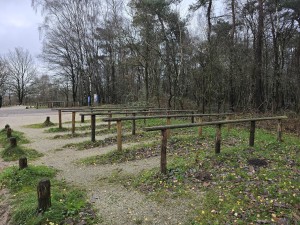 
                            <b>Houten hekken langs een kronkelend wandelpad.</b><br>
                                                        <b>ISO:</b> 20 | <b>Sluitertijd:</b> 5567099/1000000000 | <b>Diafragma:</b> f/1.7 | <b>Datum:</b> 2025-12-07

                        