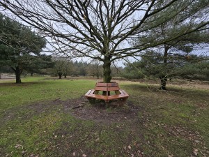 
                            <b>Houten cirkelbank om een grote boomstam.</b><br>
                                                        <b>ISO:</b> 50 | <b>Sluitertijd:</b> 2946407/1000000000 | <b>Diafragma:</b> f/2.2 | <b>Datum:</b> 2025-12-07

                        