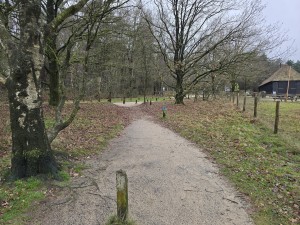 
                            <b>Een kronkelend wandelpad loopt door het bos.</b><br>
                                                        <b>ISO:</b> 25 | <b>Sluitertijd:</b> 5567099/1000000000 | <b>Diafragma:</b> f/1.7 | <b>Datum:</b> 2025-12-07

                        