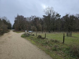 
                            <b>Kronkelend zandpad langs omheind weiland.</b><br>
                                                        <b>ISO:</b> 16 | <b>Sluitertijd:</b> 5567099/1000000000 | <b>Diafragma:</b> f/1.7 | <b>Datum:</b> 2025-12-07

                        
