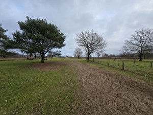 
                            <b>Zandpad slingert tussen bomen door het open veld.</b><br>
                                                        <b>ISO:</b> 50 | <b>Sluitertijd:</b> 2152229/1000000000 | <b>Diafragma:</b> f/2.2 | <b>Datum:</b> 2025-12-07

                        