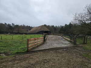 
                            <b>Rieten boerenschuur met omheinde toegangsweg en stallen.</b><br>
                                                        <b>ISO:</b> 12 | <b>Sluitertijd:</b> 5567099/1000000000 | <b>Diafragma:</b> f/1.7 | <b>Datum:</b> 2025-12-07

                        