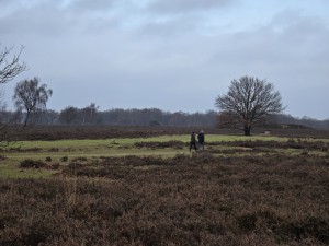 
                            <b>Twee wandelaars lopen samen over een pad.</b><br>
                                                        <b>ISO:</b> 32 | <b>Sluitertijd:</b> 3093563/500000000 | <b>Diafragma:</b> f/3.4 | <b>Datum:</b> 2025-12-07

                        