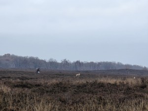 
                            <b>Twee wandelaars lopen met een hond.</b><br>
                                                        <b>ISO:</b> 32 | <b>Sluitertijd:</b> 5658279/1000000000 | <b>Diafragma:</b> f/3.4 | <b>Datum:</b> 2025-12-07

                        