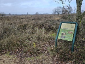 
                            <b>Informatiebord met wandelroutes voor de Ermelosche Heide.</b><br>
                                                        <b>ISO:</b> 12 | <b>Sluitertijd:</b> 5567099/1000000000 | <b>Diafragma:</b> f/1.7 | <b>Datum:</b> 2025-12-07

                        