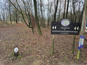 
                            <b>Informatiebord wijst naar schaapskooi en bezoekerscentrum Ermelösche Heide.</b><br>
                                                        <b>ISO:</b> 32 | <b>Sluitertijd:</b> 5567099/1000000000 | <b>Diafragma:</b> f/1.7 | <b>Datum:</b> 2025-12-07

                        