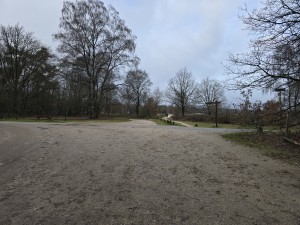 
                            <b>Zandpadkruising tussen bomen met wegwijzer.</b><br>
                                                        <b>ISO:</b> 12 | <b>Sluitertijd:</b> 967191/200000000 | <b>Diafragma:</b> f/1.7 | <b>Datum:</b> 2025-12-07

                        