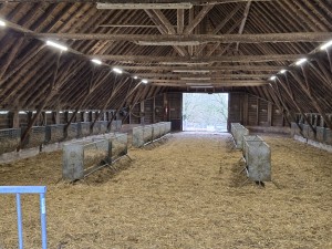 
                            <b>Lege stal met stro en voederbakken.</b><br>
                                                        <b>ISO:</b> 200 | <b>Sluitertijd:</b> 83337/5000000 | <b>Diafragma:</b> f/1.7 | <b>Datum:</b> 2025-12-07

                        