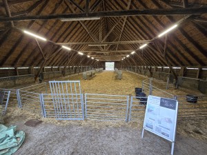 
                            <b>Lege stal met strobedekking en omheinde hokken voor vee.</b><br>
                                                        <b>ISO:</b> 400 | <b>Sluitertijd:</b> 83337/5000000 | <b>Diafragma:</b> f/2.2 | <b>Datum:</b> 2025-12-07

                        