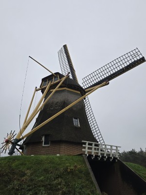 
                            <b>Oude windmolen met grote wieken en rieten kap.</b><br>
                                                        <b>ISO:</b> 50 | <b>Sluitertijd:</b> 5567099/1000000000 | <b>Diafragma:</b> f/1.7 | <b>Datum:</b> 2025-11-28

                        