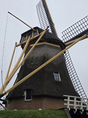 
                            <b>Rieten windmolen met grote wieken en houten balkenconstructie.</b><br>
                                                        <b>ISO:</b> 16 | <b>Sluitertijd:</b> 2497831/125000000 | <b>Diafragma:</b> f/1.7 | <b>Datum:</b> 2025-11-28

                        