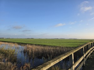 
                            <b>Houten brug over een sloot.</b><br>
                                                        <b>ISO:</b> 12 | <b>Sluitertijd:</b> 1/412 | <b>Diafragma:</b> f/1.7 | <b>Datum:</b> 2025-11-11

                        