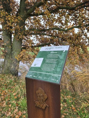 
                            <b>Informatiebord van de Grunninger Toalroute met tekst en afbeelding.</b><br>
                                                        <b>ISO:</b> 64 | <b>Sluitertijd:</b> 1/180 | <b>Diafragma:</b> f/1.7 | <b>Datum:</b> 2025-11-09

                        